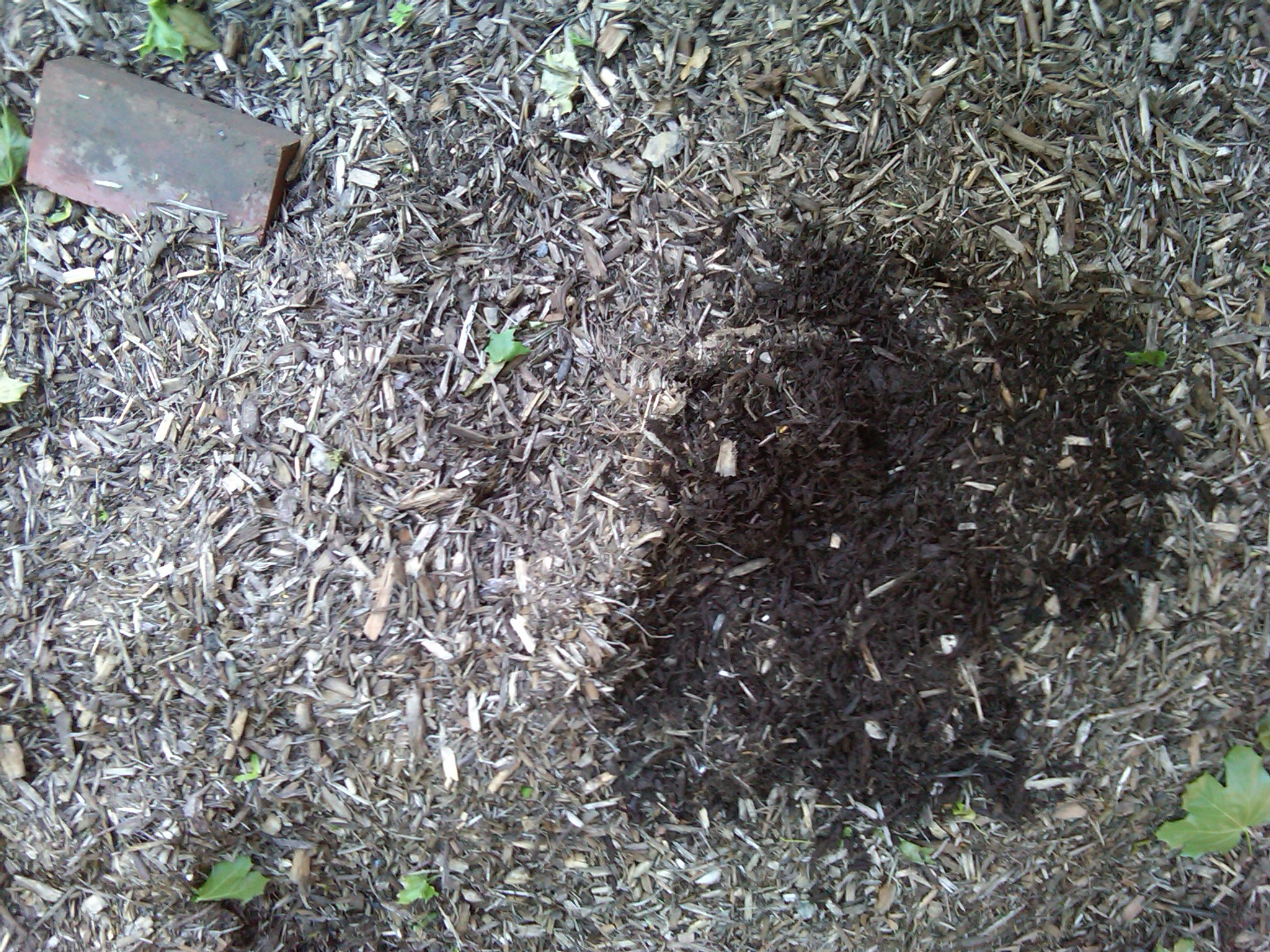 A deep discussion about wood mulch and rubber mulch IMC Outdoor Living